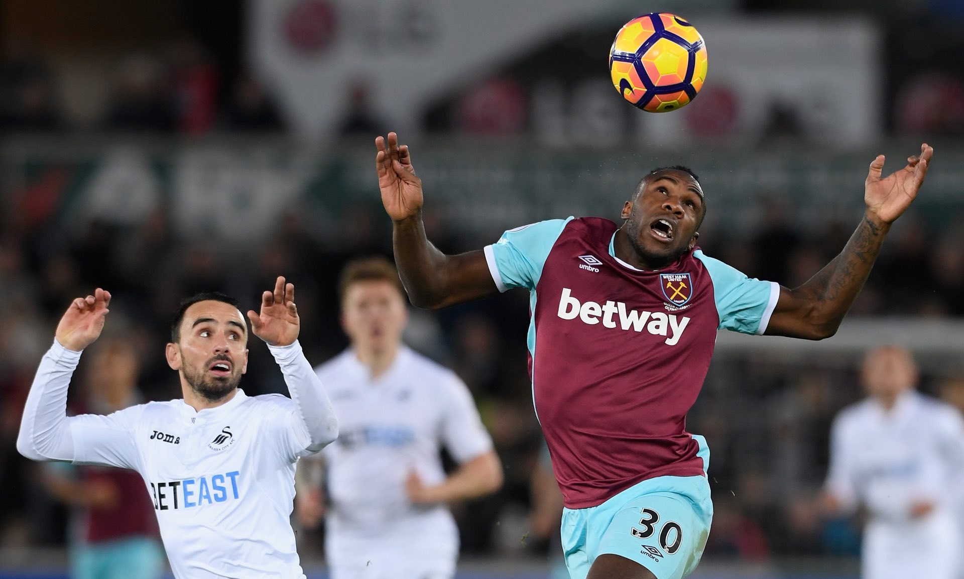 柔术的国际 柔术的国际